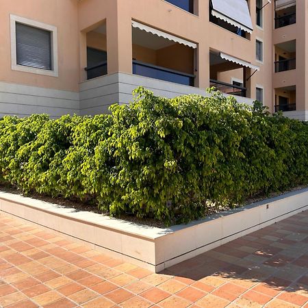 Apartamento Jardines de Las Marinas con una gran terraza Dénia Exterior foto