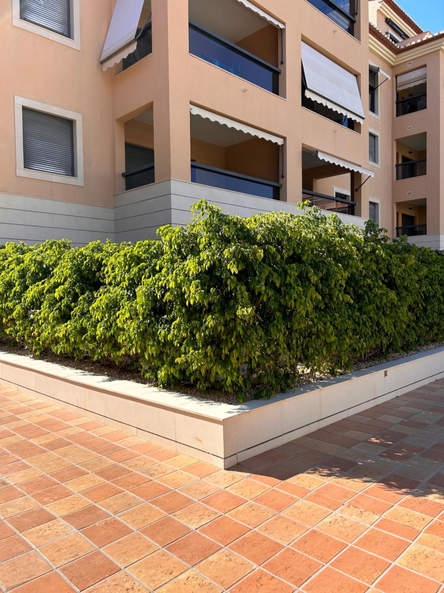 Apartamento Jardines de Las Marinas con una gran terraza Dénia Exterior foto